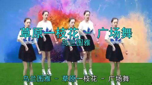草原一枝花广场舞视频,舞动草原风情,展现民族魅力